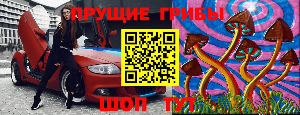 Галлюциногенные грибы Cubensis Смоленск