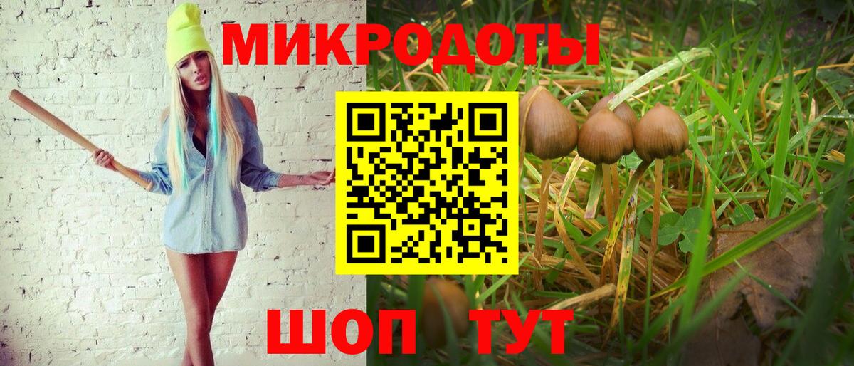 где можно купить   Псилоцибиновые грибы GOLDEN TEACHER  Вход с VPN  Смоленск 